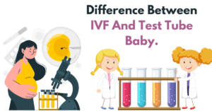 Difference Between IVF And Test Tube Baby