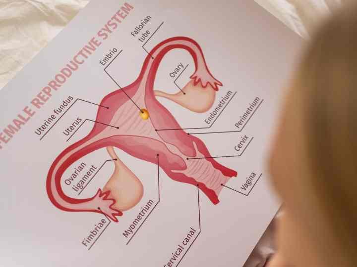 SSG full form in medical